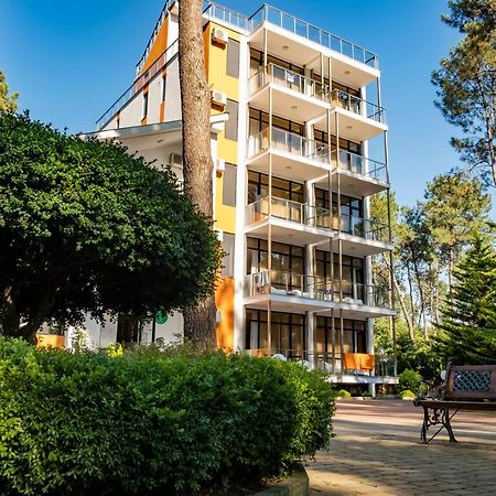 Buxus Hotel Shekvetili Dış mekan fotoğraf