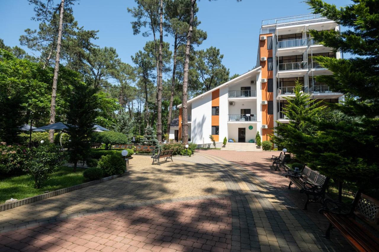 Buxus Hotel Shekvetili Dış mekan fotoğraf