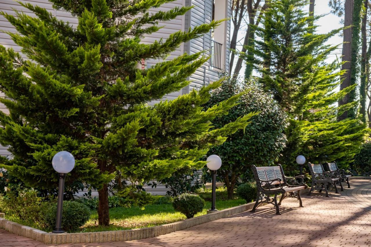Buxus Hotel Shekvetili Dış mekan fotoğraf