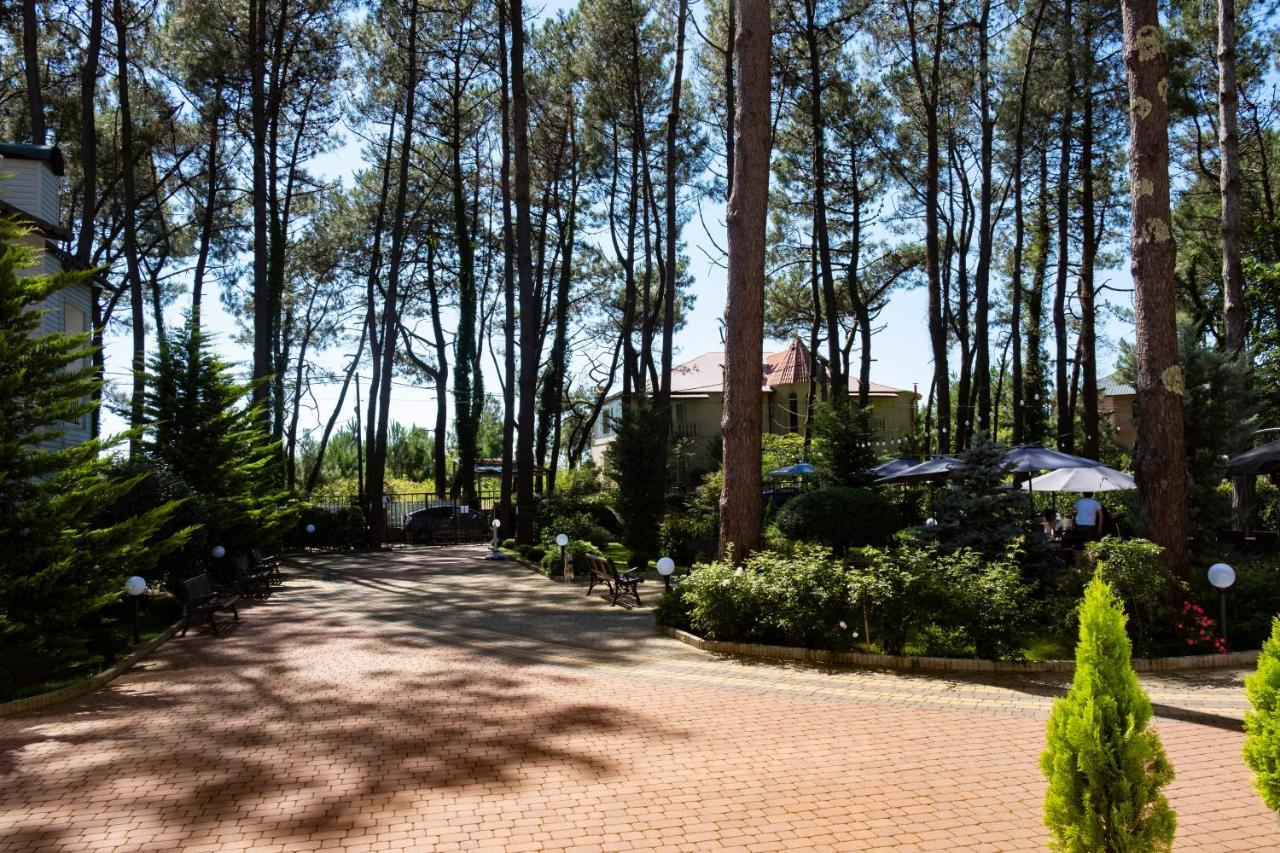 Buxus Hotel Shekvetili Dış mekan fotoğraf
