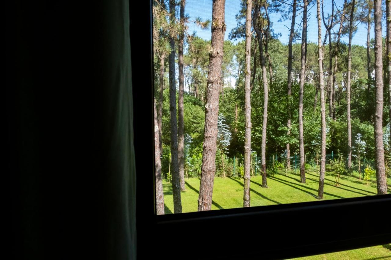 Buxus Hotel Shekvetili Dış mekan fotoğraf