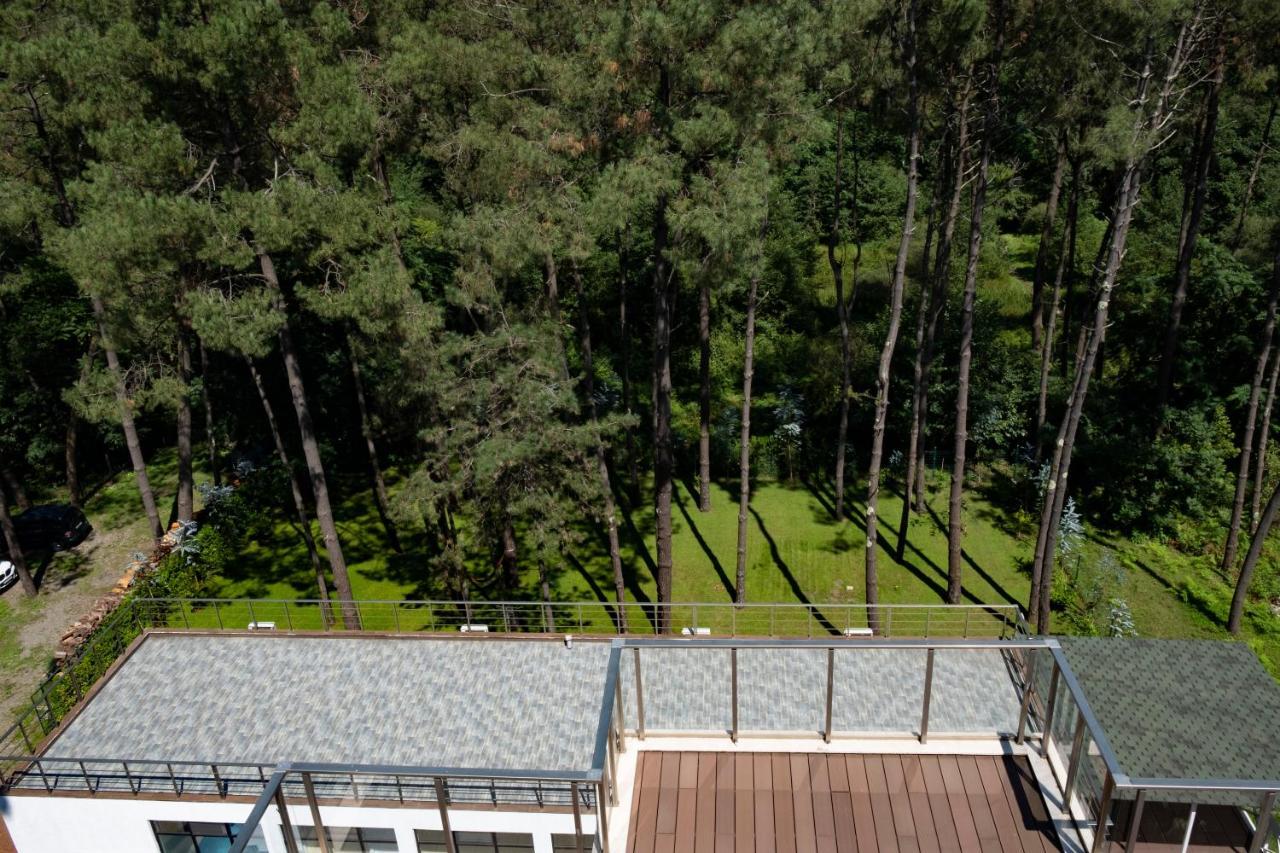 Buxus Hotel Shekvetili Dış mekan fotoğraf