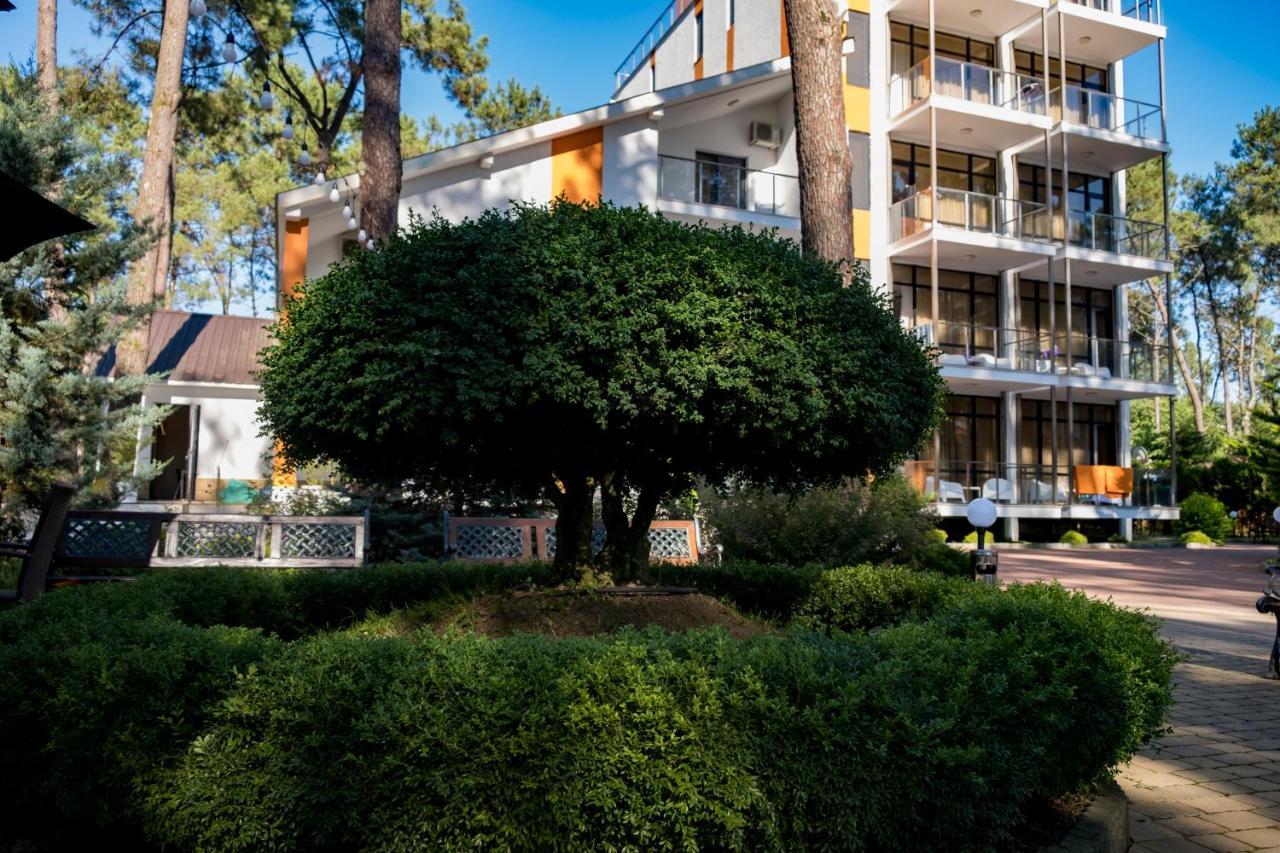 Buxus Hotel Shekvetili Dış mekan fotoğraf