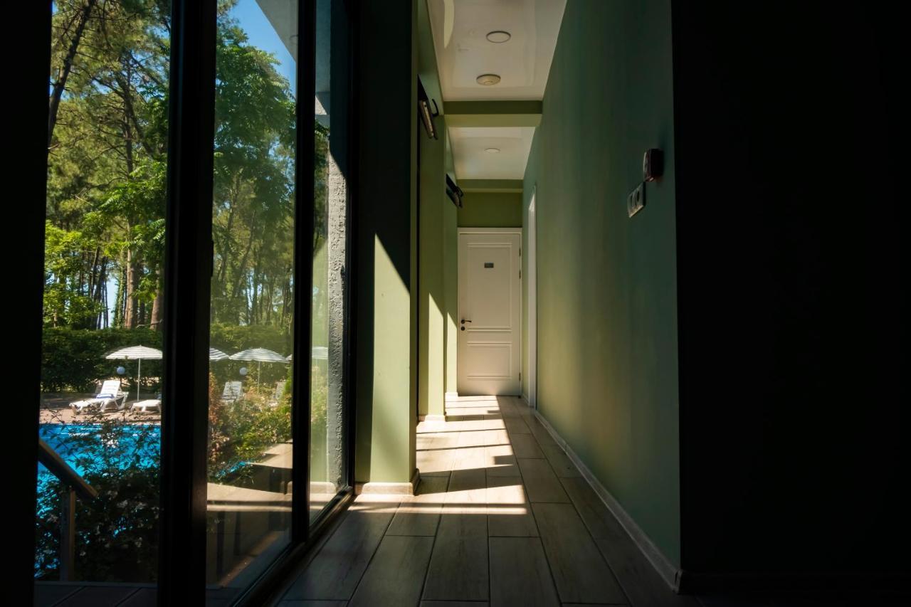 Buxus Hotel Shekvetili Dış mekan fotoğraf